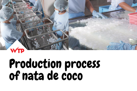 Production process of nata de coco