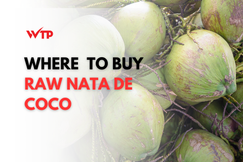 Where to buy raw Nata de coco? 