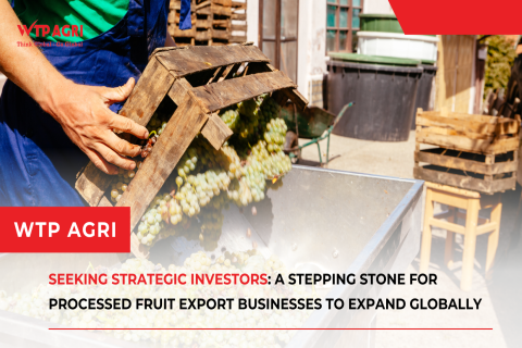 Seeking Strategic Investors: A Stepping Stone for Processed Fruit Export Businesses to Expand Globally