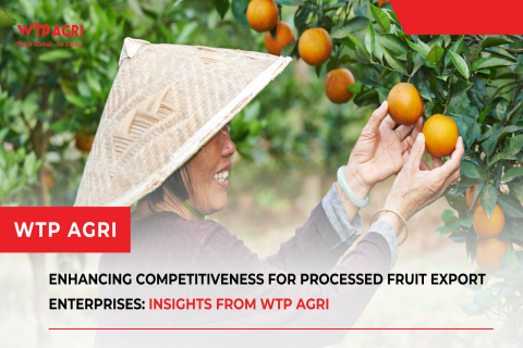 Enhancing Competitiveness for Processed Fruit Export Enterprises: Insights from WTP Agri