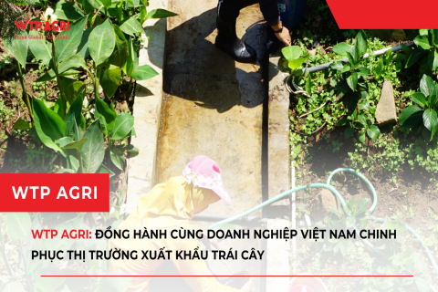 WTP Agri: Đồng hành cùng doanh nghiệp Việt Nam chinh phục thị trường xuất khẩu trái cây