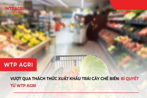 Vượt Qua Thách Thức Xuất Khẩu Trái Cây Chế Biến: Bí Quyết Từ WTP Agri