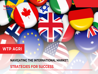 Success Secrets for Export Businesses: Riding the Waves of the International Market