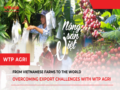 Từ Nông Trại Việt Ra Thế Giới: Vượt Thử Thách Xuất Khẩu Cùng WTP Agri