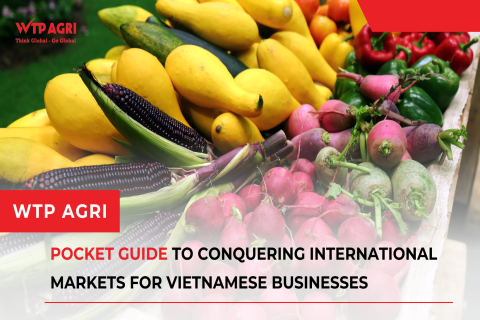 Pocket Guide to Conquering International Markets for Vietnamese Businesses
