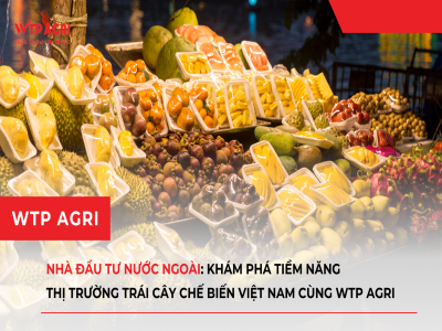 Foreign Investors: Exploring the Potential of Vietnam's Processed Fruit Market with WTP Agri