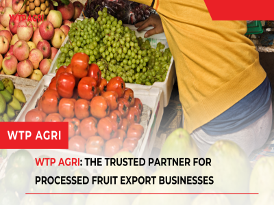 WTP Agri: The Trusted Partner for Processed Fruit Export Businesses