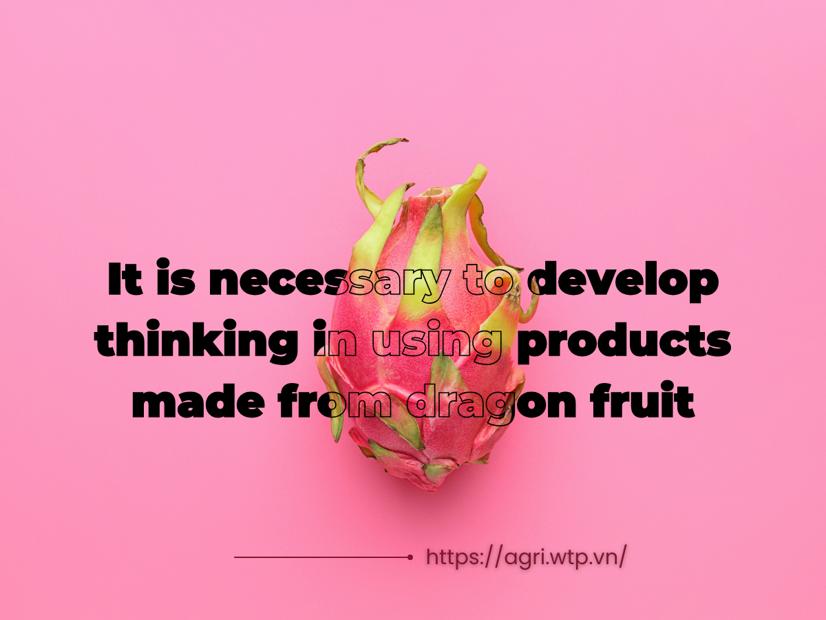 It is necessary to develop thinking in using products made from dragon fruit