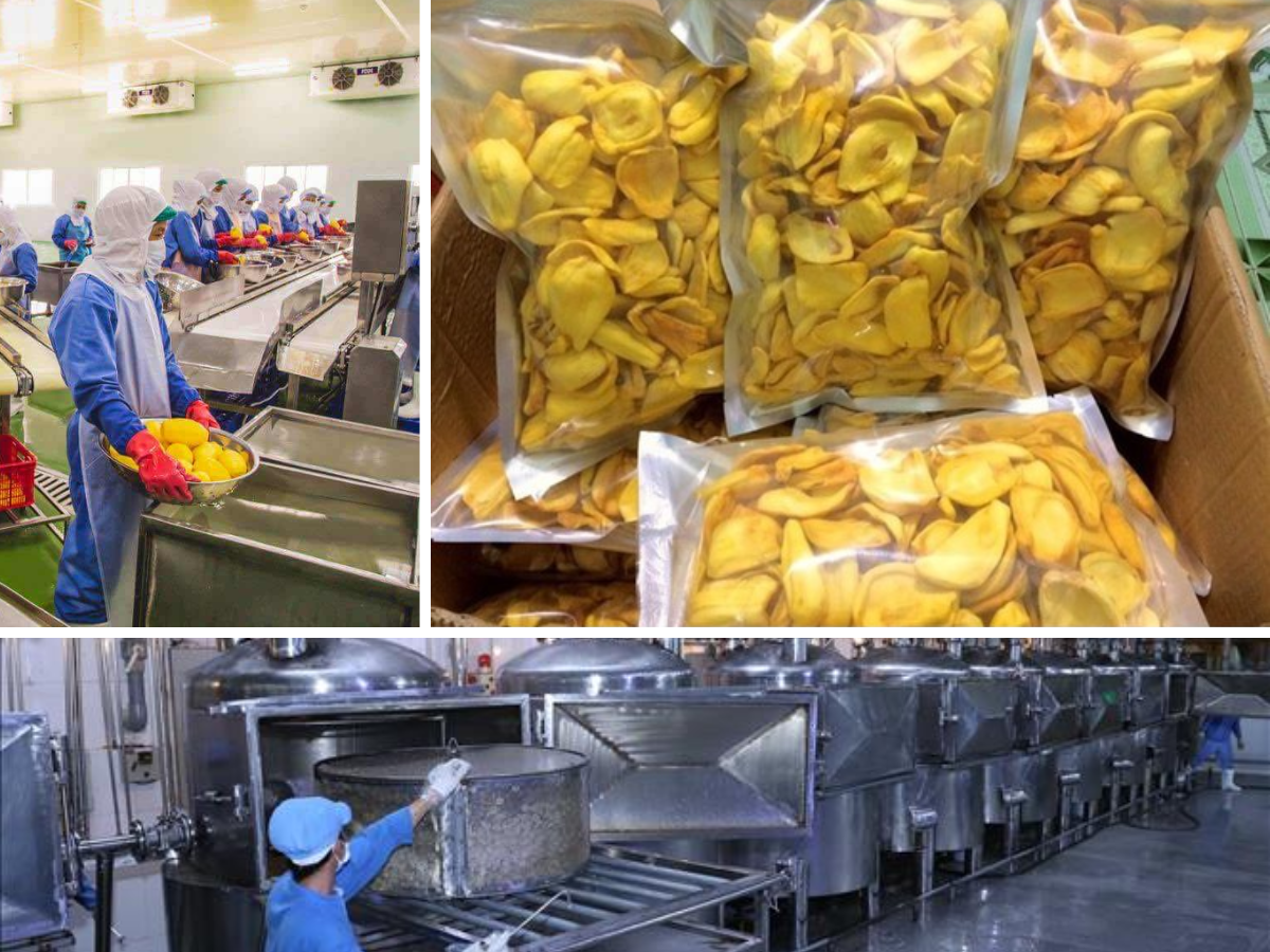 WTP Agri’s dried fruit factory