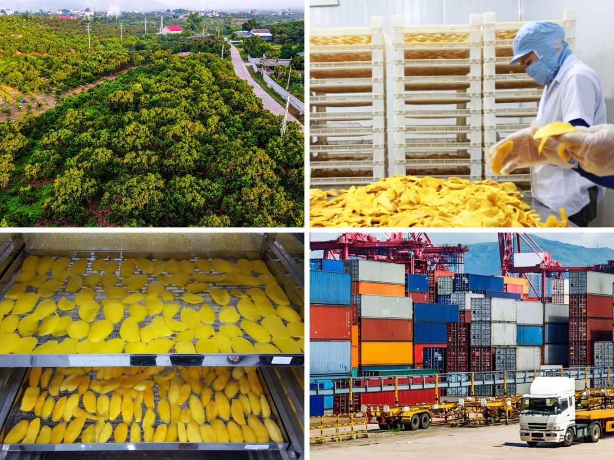Thế mạnh của Việt Nam trong xuất khẩu trái cây sấy khô